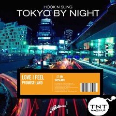 Promise Land vs. Hook N Sling - Love Tokyo By Night (TNT Mashup)