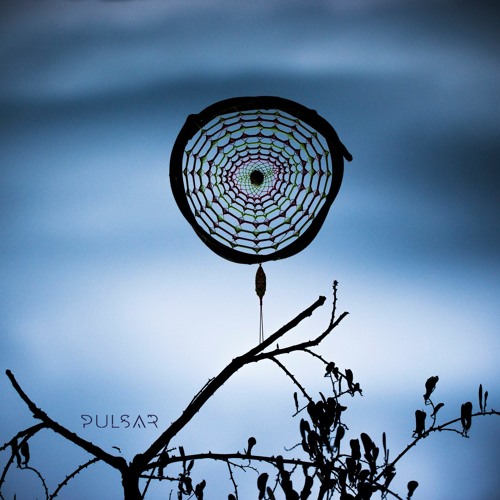 Infinity Nets @ Pulsar Festival 2015 - Molecular Stage