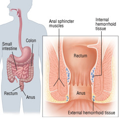 Toyaner@Zollamt A.N.A.L gestörter Zalofloor