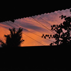 Loving Strangers by Russian Red (Cover)