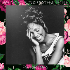 Potatohead People X Whitney Houston - Fine Explosives (Soul Buster Mashup)