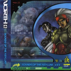 TOTAL OUTPUT- NORTH-- NSA 23