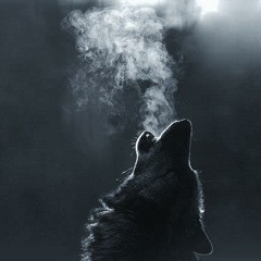 I'm Jus...(Gettin High)