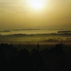 Dans la tourbière, l'aube