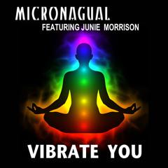 Vibrate You feat. Junie Morrison