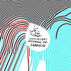 becoming the camracid - C40 ambient cassette