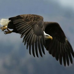 Comanche song