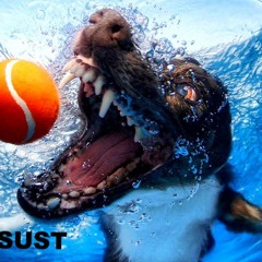 Summer Bounce Mix