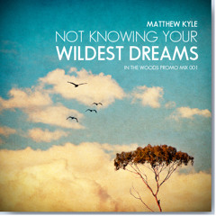 Not Knowing Your Wildest Dreams - Matthew Kyle Promo Mix 001