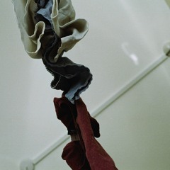 today the other day.oh today