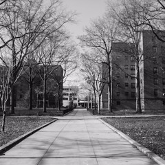 Fetti Camacho - Live (Prod. Mj Nichols)