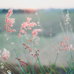 ♡ You Will Be There ♡