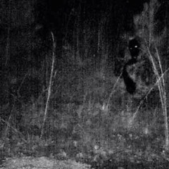 paranormal