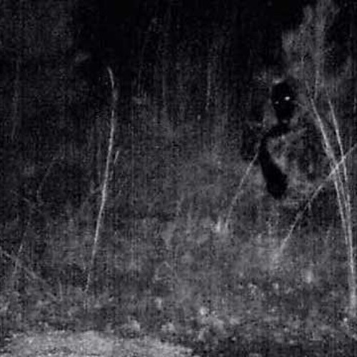 paranormal