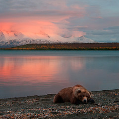 Coastin' West - GrizzG x Abeal Abera (prod. Space Jam Beatz)