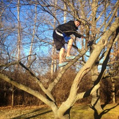 Low Dose - Ape Shh Mushrooms - 05 Mirrors (feat. NATKINGFLO, Codeine Cain, Julia Amethyst)