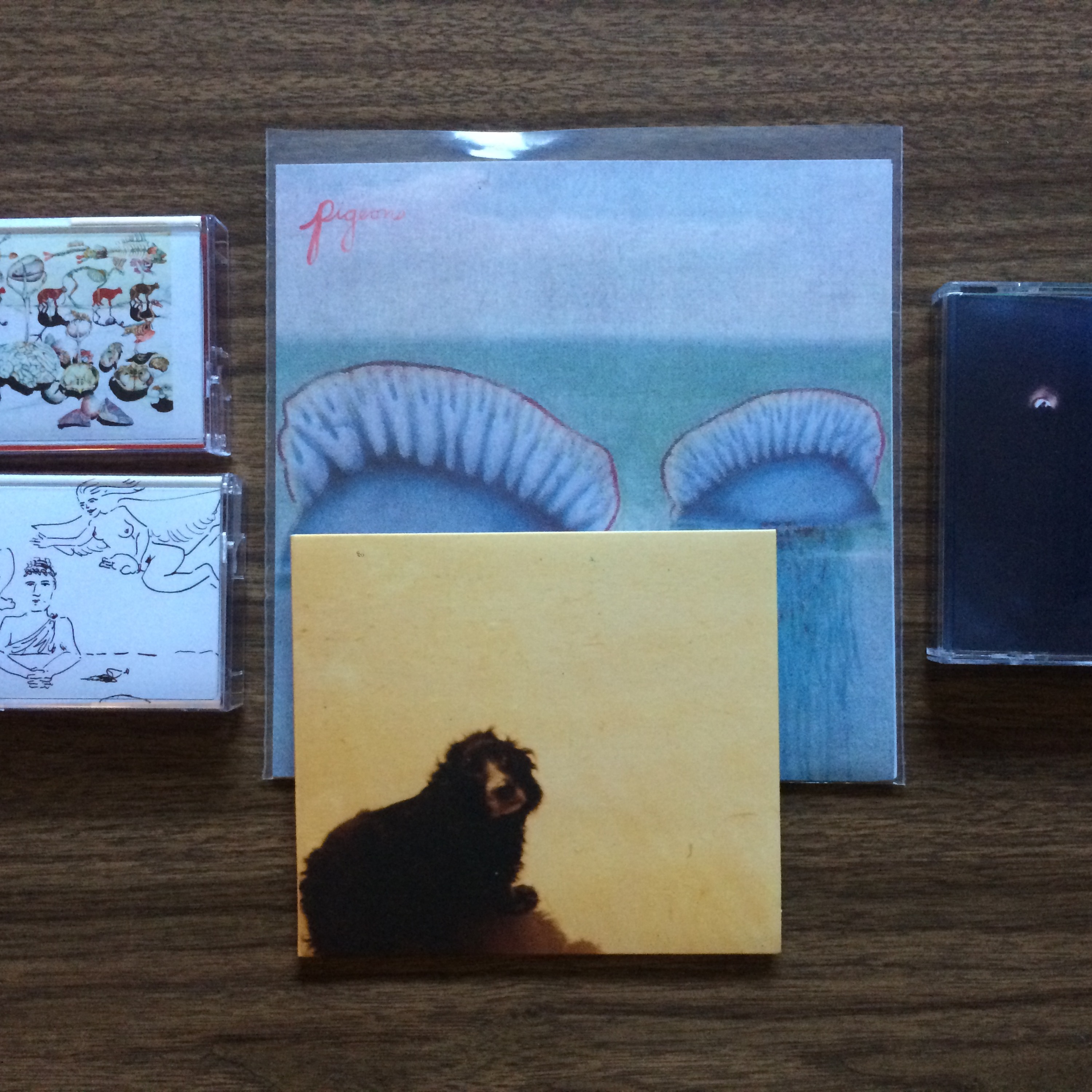 FFFoxy Podcast #62 with Chris Berry of Soft Abuse / Fruits & Flowers episode artwork