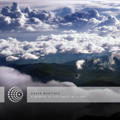 Roger Martinez - Leaving - Wehbba Remix