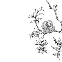 Có phải còn yêu vì đôi lần thầm nhớ