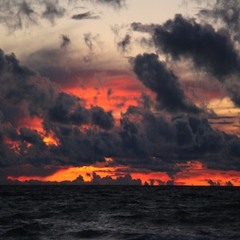 When The Money's Gone