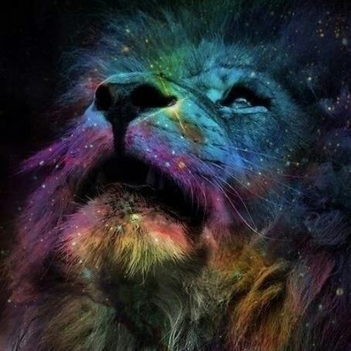 J's New Theme. IM LION