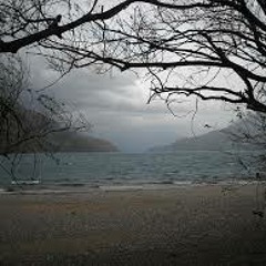 Murky Waters