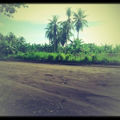 PARADISE (Mangi ENB)