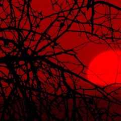 Kill For Love - Chromatics Cover (Rough Mix)