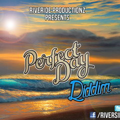 Perfect Day Riddim 114 BPM