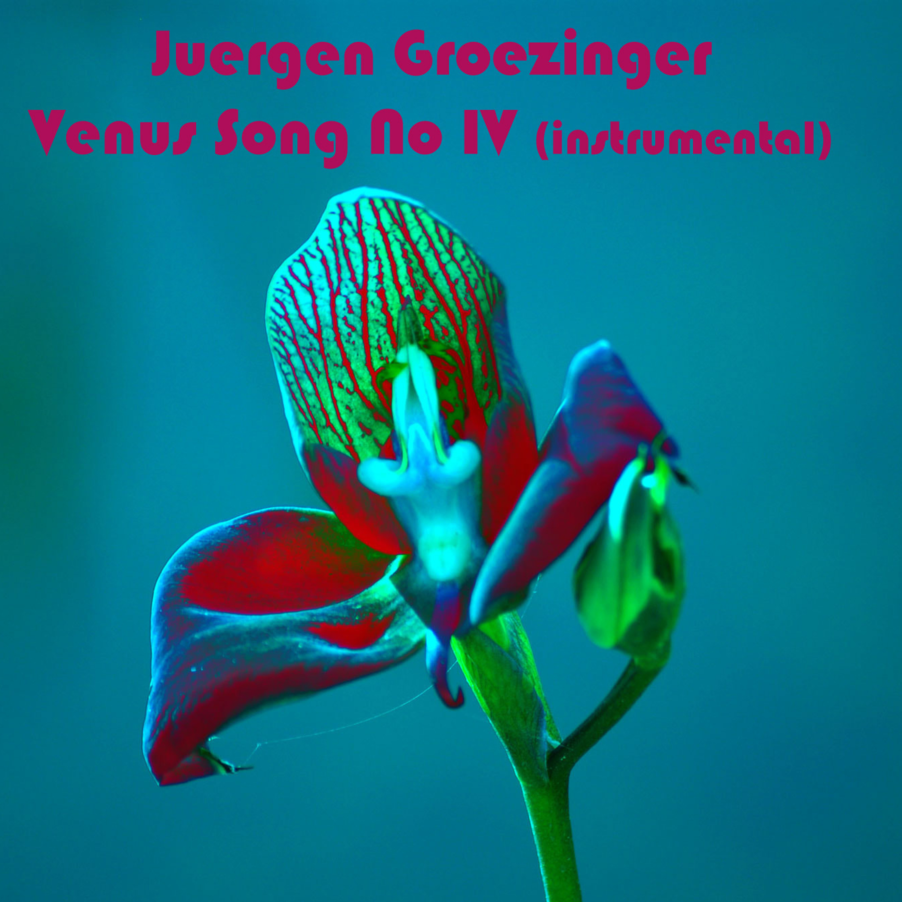 Juergen Groezinger