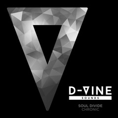Soul Divide - Chronic (Original Mix)