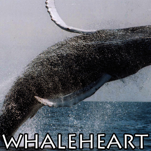 DVBBS - Whaleheart