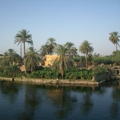 شريف صالح - خلص الكلام