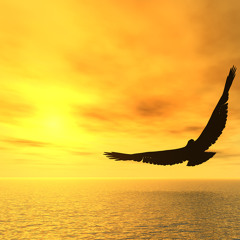 Aguila(cover from Aztec Mystic)