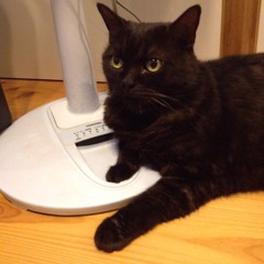 Imperial march intro/Knight Of The Jaguar(cover from Aztec Mytic/Los hermanos)