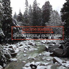 Lascivio Bohemia - Dubton Tequila (DLMJ Remix)