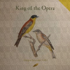 The Whole Of The Moon (The Waterboys Cover)