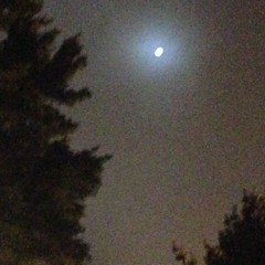 brighton fanta (8/3)