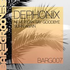 Dephonix - Never Can Say Goodbye