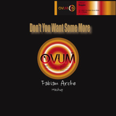 Don't You Want Some More (Fabian Arche Mashup)