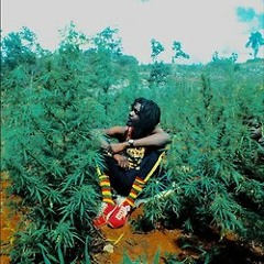 Roots Reggae (mix n°3)