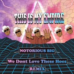 Notorious BIG - We Dont Love These Hoes // REMIX