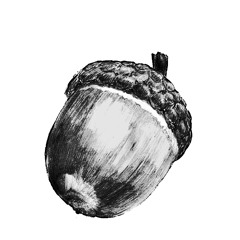 Shakai Mondai: "Jeff"