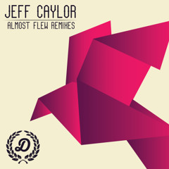 Jeff Caylor - Almost Flew (iLar Remix)