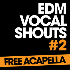 EDM Vocal Shouts #2 (FREE DOWNLOAD - Click Buy)