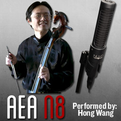 N8 - Erhu #2 - Performed by Hong Wang
