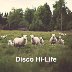 Disco Hi-Life / August 2015 (Burçin Ergünt Live Set)