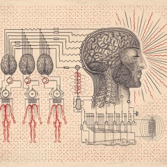 Inner Discovery