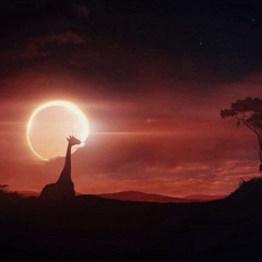 The Groovers - Do not cut (Preview)