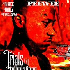 Ray bandz X Stupidstar Peewee X Dumway X Coleon da big dog - Street So Cold